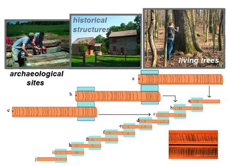 dendrochronology dating archaeology